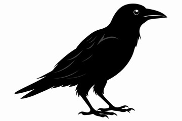 crow silhouette on white background, Vector illustration, icon, svg, characters, Holiday t shirt, Hand drawn trendy Vector illustration