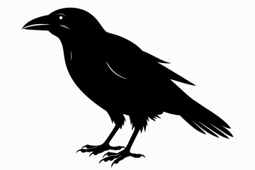 crow silhouette on white background, Vector illustration, icon, svg, characters, Holiday t shirt, Hand drawn trendy Vector illustration