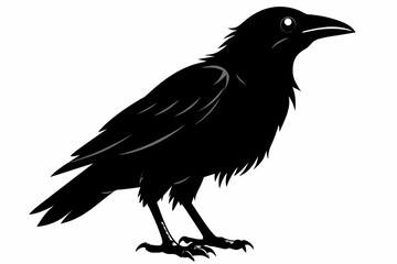crow silhouette on white background, Vector illustration, icon, svg, characters, Holiday t shirt, Hand drawn trendy Vector illustration
