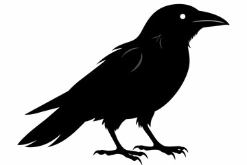 crow silhouette on white background, Vector illustration, icon, svg, characters, Holiday t shirt, Hand drawn trendy Vector illustration