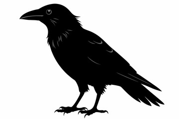 crow silhouette on white background, Vector illustration, icon, svg, characters, Holiday t shirt, Hand drawn trendy Vector illustration