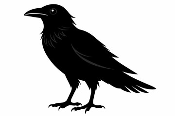 crow silhouette on white background, Vector illustration, icon, svg, characters, Holiday t shirt, Hand drawn trendy Vector illustration