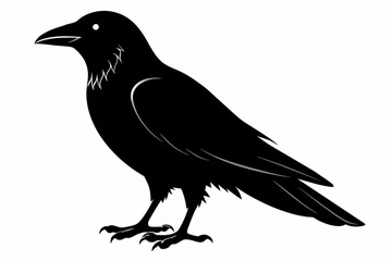 crow silhouette on white background, Vector illustration, icon, svg, characters, Holiday t shirt, Hand drawn trendy Vector illustration