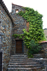 Fototapeta na wymiar Ivy on a traditional facade in Patones de Arriba, Spain