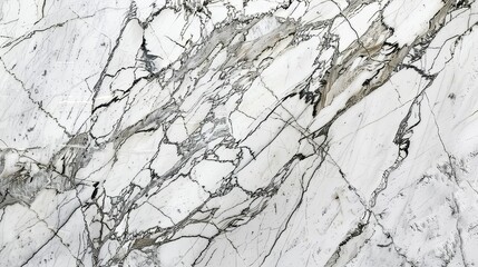 Fototapeta premium Elegant White Marble Texture With Grey Veins