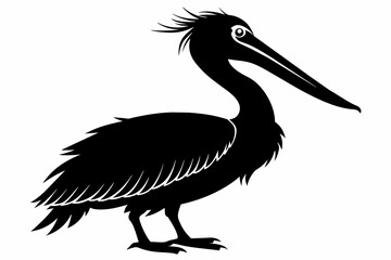 pelican silhouette on white background, Vector illustration, icon, svg, characters, Holiday t shirt, Hand drawn trendy Vector illustration