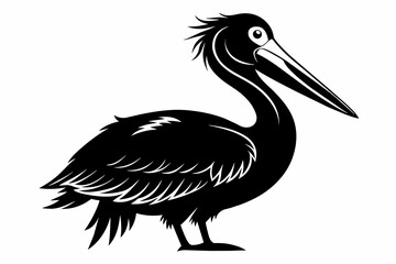 pelican silhouette on white background, Vector illustration, icon, svg, characters, Holiday t shirt, Hand drawn trendy Vector illustration