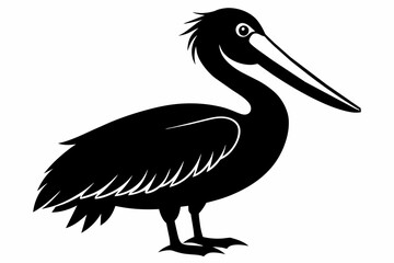 pelican silhouette on white background, Vector illustration, icon, svg, characters, Holiday t shirt, Hand drawn trendy Vector illustration
