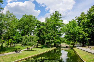 Vivid landscape in Nicolae Romaescu park from Craiova in Dolj county, Romania, with lake, waterlillies and large green tres in a beautiful sunny spring day with blue sky and white clouds