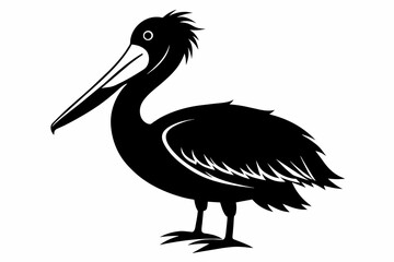 pelican silhouette on white background, Vector illustration, icon, svg, characters, Holiday t shirt, Hand drawn trendy Vector illustration