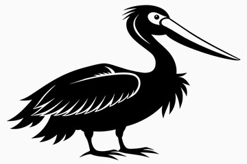 pelican silhouette on white background, Vector illustration, icon, svg, characters, Holiday t shirt, Hand drawn trendy Vector illustration
