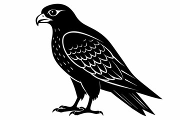 Falcon silhouette on white background, Vector illustration, icon, svg, characters, Holiday t shirt, Hand drawn trendy Vector illustration