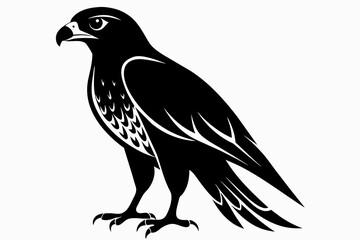 Falcon silhouette on white background, Vector illustration, icon, svg, characters, Holiday t shirt, Hand drawn trendy Vector illustration