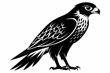 Falcon silhouette on white background, Vector illustration, icon, svg, characters, Holiday t shirt, Hand drawn trendy Vector illustration