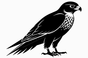 Falcon silhouette on white background, Vector illustration, icon, svg, characters, Holiday t shirt, Hand drawn trendy Vector illustration