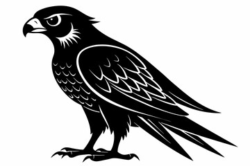 Falcon silhouette on white background, Vector illustration, icon, svg, characters, Holiday t shirt, Hand drawn trendy Vector illustration