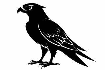 Falcon silhouette on white background, Vector illustration, icon, svg, characters, Holiday t shirt, Hand drawn trendy Vector illustration