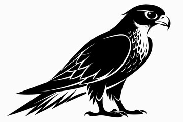 Falcon silhouette on white background, Vector illustration, icon, svg, characters, Holiday t shirt, Hand drawn trendy Vector illustration