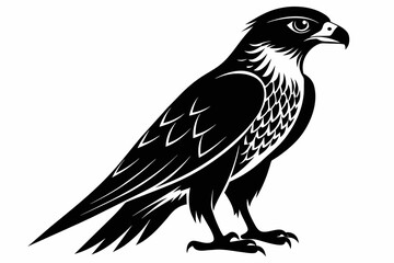Falcon silhouette on white background, Vector illustration, icon, svg, characters, Holiday t shirt, Hand drawn trendy Vector illustration
