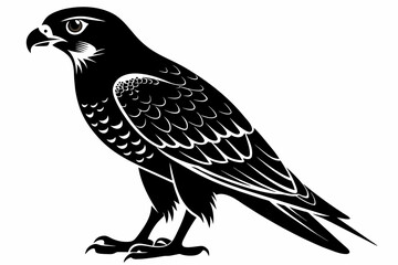 Falcon silhouette on white background, Vector illustration, icon, svg, characters, Holiday t shirt, Hand drawn trendy Vector illustration