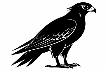 Falcon silhouette on white background, Vector illustration, icon, svg, characters, Holiday t shirt, Hand drawn trendy Vector illustration