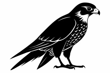 Falcon silhouette on white background, Vector illustration, icon, svg, characters, Holiday t shirt, Hand drawn trendy Vector illustration