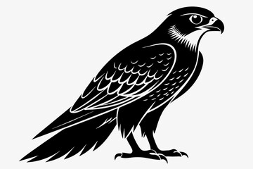 Falcon silhouette on white background, Vector illustration, icon, svg, characters, Holiday t shirt, Hand drawn trendy Vector illustration