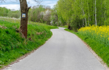 Droga wijąca się meandrami, wśród wzgórz, pośrodku kwitnącej wiosny. Szlak rowerowy biegnący przez malownicze okolice Ostrowca, wśród wiosennej przyrody, w kwietniowe popołudnie. - obrazy, fototapety, plakaty
