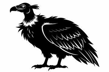 Vulture silhouette on white background, Vector illustration, icon, svg, characters, Holiday t shirt, Hand drawn trendy Vector illustration, eagle silhouette