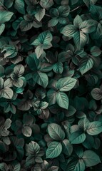Abstract exploration of the beauty of the natural world in shades of dark green, Background Image For Website