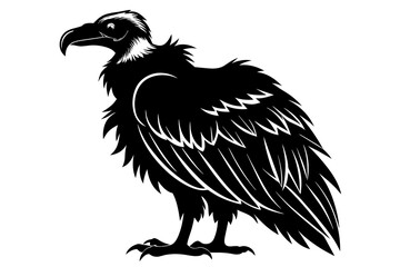 Fototapeta premium Vulture silhouette on white background, Vector illustration, icon, svg, characters, Holiday t shirt, Hand drawn trendy Vector illustration, eagle silhouette