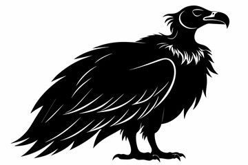 Vulture silhouette on white background, Vector illustration, icon, svg, characters, Holiday t shirt, Hand drawn trendy Vector illustration, eagle silhouette