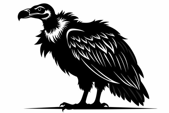 recommend clip art: Vulture silhouette on white background, Vector illustration, icon, svg, characters, Holiday t shirt, Hand drawn trendy Vector illustration, eagle silhouette