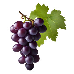 Fototapeta premium grape with leaf