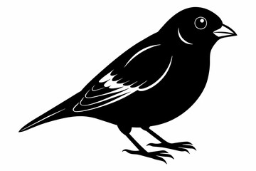 Finch silhouette on white background, Vector illustration, icon, svg, characters, Holiday t shirt, Hand drawn trendy Vector illustration, eagle silhouette