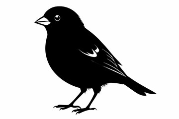 Finch silhouette on white background, Vector illustration, icon, svg, characters, Holiday t shirt, Hand drawn trendy Vector illustration, eagle silhouette
