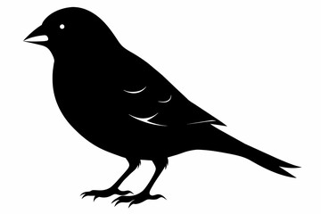 Finch silhouette on white background, Vector illustration, icon, svg, characters, Holiday t shirt, Hand drawn trendy Vector illustration, eagle silhouette