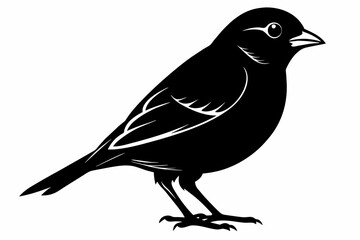 Finch silhouette on white background, Vector illustration, icon, svg, characters, Holiday t shirt, Hand drawn trendy Vector illustration, eagle silhouette