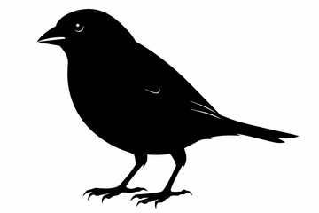Finch silhouette on white background, Vector illustration, icon, svg, characters, Holiday t shirt, Hand drawn trendy Vector illustration, eagle silhouette
