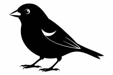 Finch silhouette on white background, Vector illustration, icon, svg, characters, Holiday t shirt, Hand drawn trendy Vector illustration, eagle silhouette