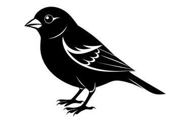 Finch silhouette on white background, Vector illustration, icon, svg, characters, Holiday t shirt, Hand drawn trendy Vector illustration, eagle silhouette