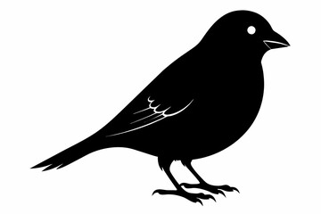 Finch silhouette on white background, Vector illustration, icon, svg, characters, Holiday t shirt, Hand drawn trendy Vector illustration, eagle silhouette
