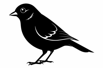 Finch silhouette on white background, Vector illustration, icon, svg, characters, Holiday t shirt, Hand drawn trendy Vector illustration, eagle silhouette