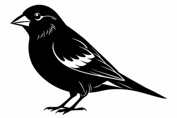 Finch silhouette on white background, Vector illustration, icon, svg, characters, Holiday t shirt, Hand drawn trendy Vector illustration, eagle silhouette