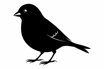 Finch silhouette on white background, Vector illustration, icon, svg, characters, Holiday t shirt, Hand drawn trendy Vector illustration, eagle silhouette