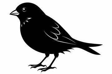 Finch silhouette on white background, Vector illustration, icon, svg, characters, Holiday t shirt, Hand drawn trendy Vector illustration, eagle silhouette