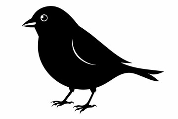 Finch silhouette on white background, Vector illustration, icon, svg, characters, Holiday t shirt, Hand drawn trendy Vector illustration, eagle silhouette