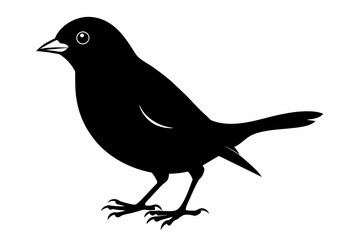Finch silhouette on white background, Vector illustration, icon, svg, characters, Holiday t shirt, Hand drawn trendy Vector illustration, eagle silhouette