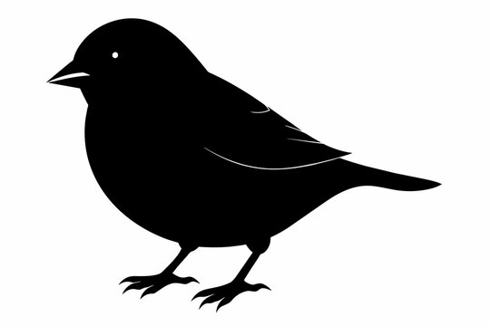 recommend clip art: Finch silhouette on white background, Vector illustration, icon, svg, characters, Holiday t shirt, Hand drawn trendy Vector illustration, eagle silhouette