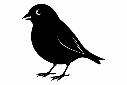 recommend clip art: Finch silhouette on white background, Vector illustration, icon, svg, characters, Holiday t shirt, Hand drawn trendy Vector illustration, eagle silhouette